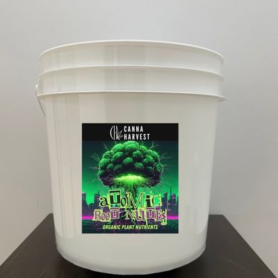 Vasche di polipropilene personalizzate 3L 4L 5L 8L 10L contenitore secchio di plastica con coperchio