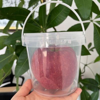 3L 4L 5L 6L 8L 10L 18L secchi con coperchio Contenitore di secchi di plastica con coperchio a prova di perdite