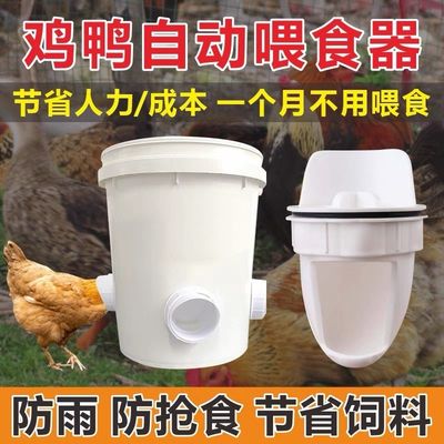 Bottile di plastica quadrata a prova di perdite per l'acqua e l'alimentazione degli animali Spessore da 1,0 a 2,5 mm